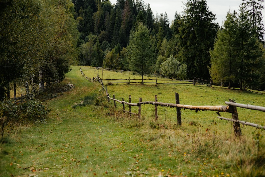 Boundaries and mental health