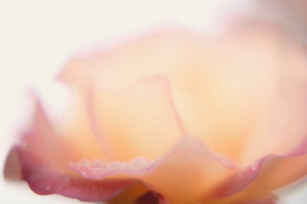 Is sex good for your health?