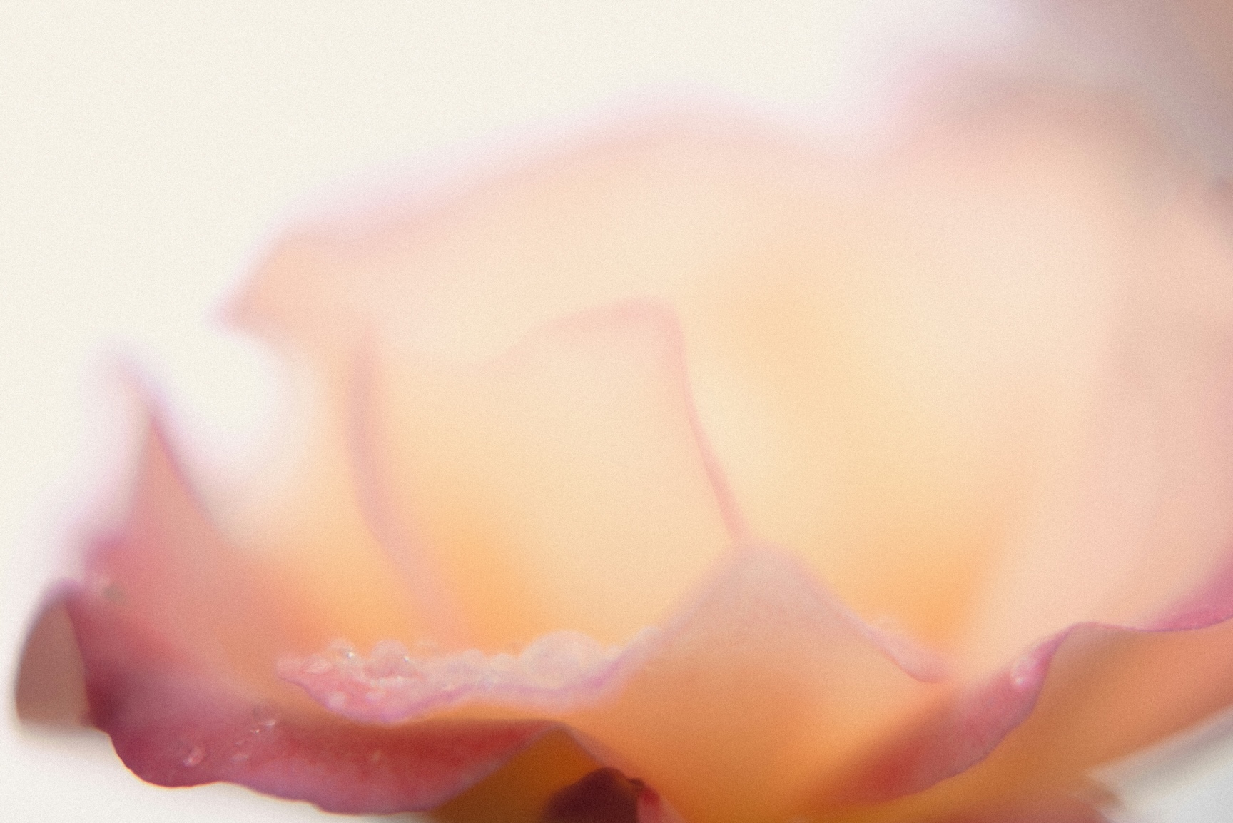 Is sex good for your health?